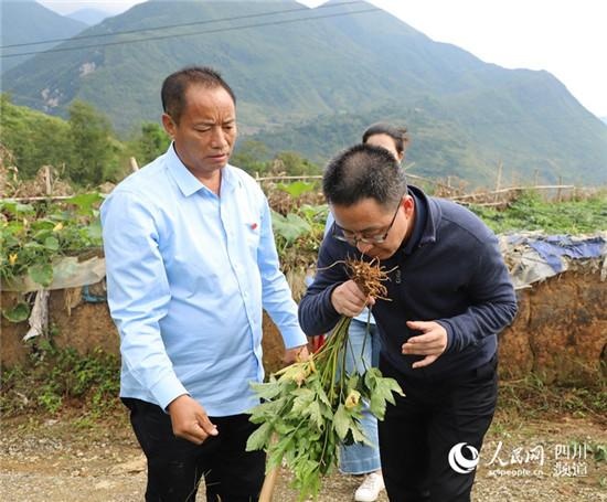 第一书记沈杰:五年坚守换取且木村大变样