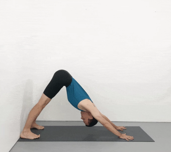 一条直线大腿肌肉收紧向后推,保持5-8个呼吸动作12仰卧在垫面上屈双膝