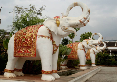 傣家依靠大象,大象依靠傣家