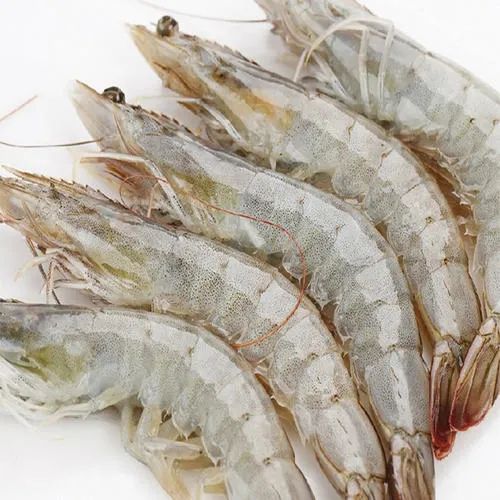 进口冻南美白虾排查行动|厄瓜多尔|市场监管局|新冠肺炎_新浪新闻