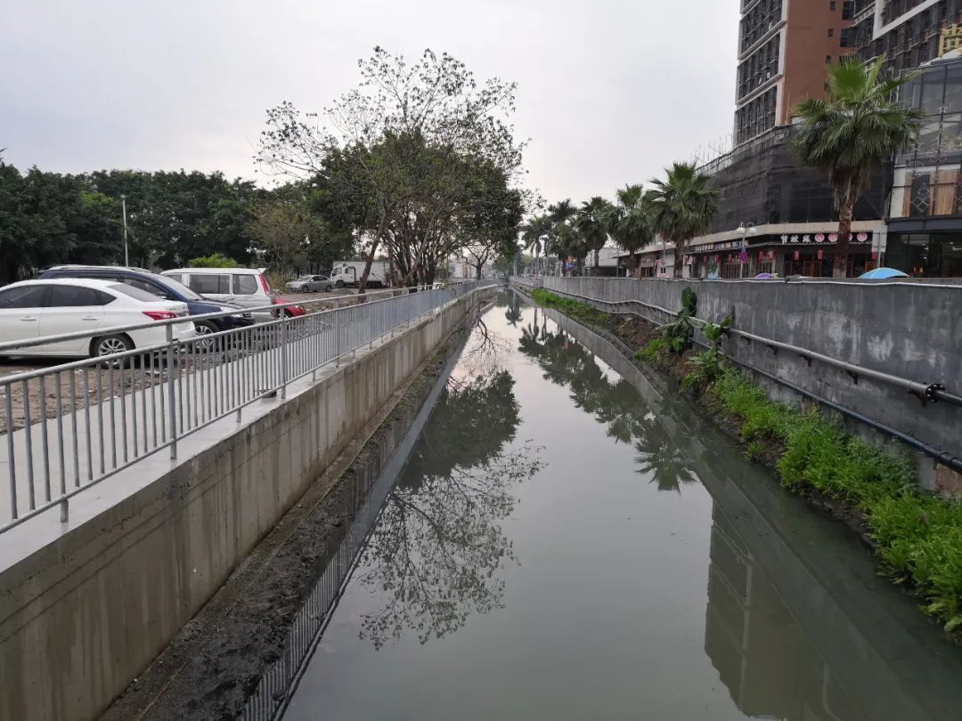 水清,岸绿,景美!桔树涌重现昔日水乡风貌|桔树|泵井|拆违_新浪新闻