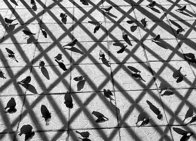 拍影子很无趣?那是你不会拍!|拍摄|物体|阿文_新浪新闻