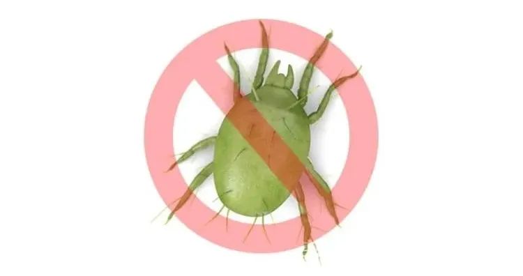 看了这个 夏天还敢不洗被套吗 手机新浪网 看了这个 夏天还敢不洗被套吗 手机新浪网