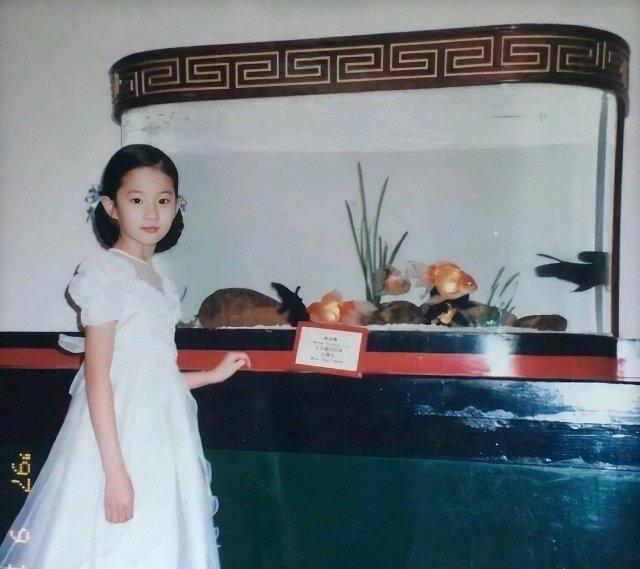 女明星童年照彰显优越基因,贾玲美到认不出,章子怡娜扎秀气高级