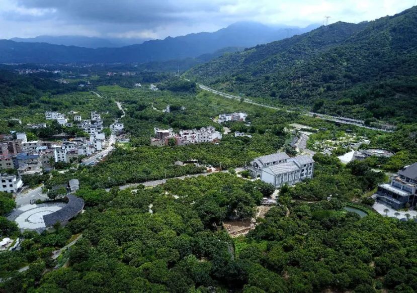 南平村,莲麻村入选全国乡村旅游重点村
