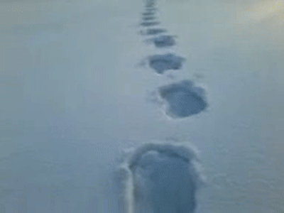 俄罗斯拍摄到的疑似雪人脚印