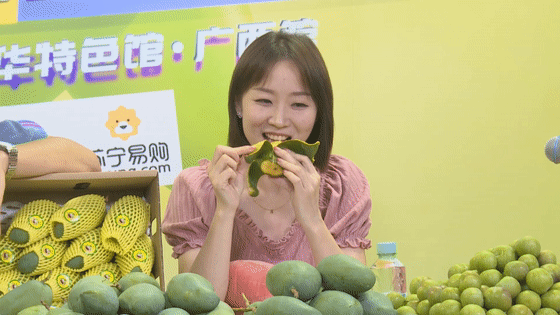主持人们对桂七芒果的美味毫无抵抗力广西卫视主持人杨圳涛,韦舒卉