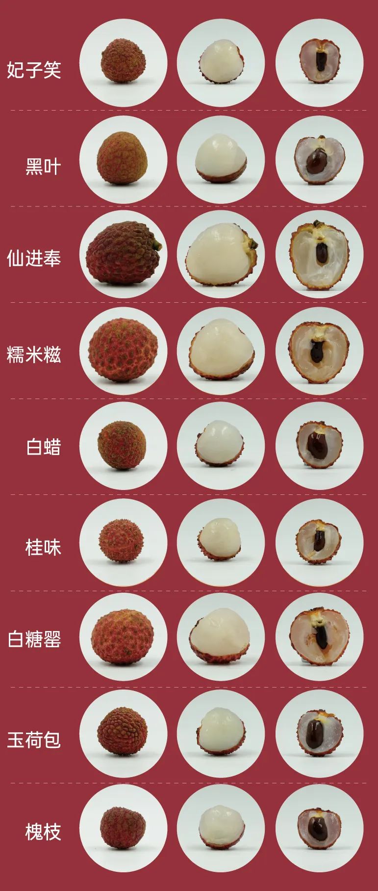 9品种荔枝对比测评: 桂味、糯米糍、仙进奉、白糖罂,谁才是荔枝界的最强王者?|糯米糍_新浪财经_新浪网