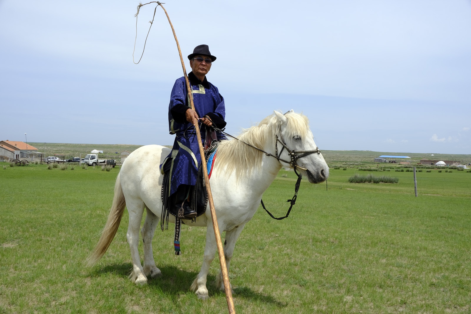 "中国白马之乡"乌珠穆沁白马已逾6000匹