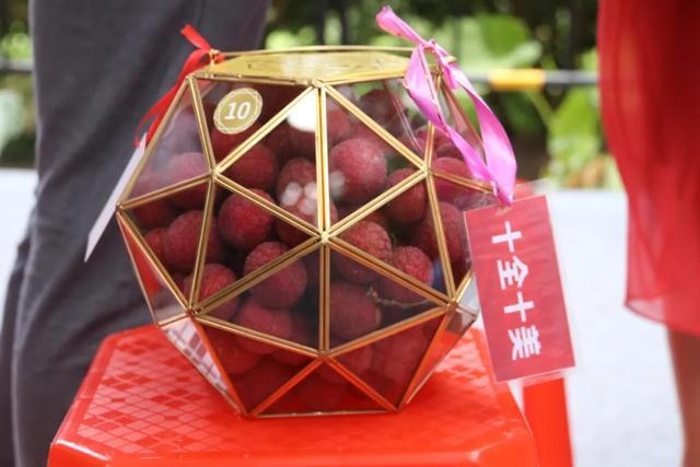 20万一份!广州从化这棵世界最大荔枝皇古树拍出"天价"
