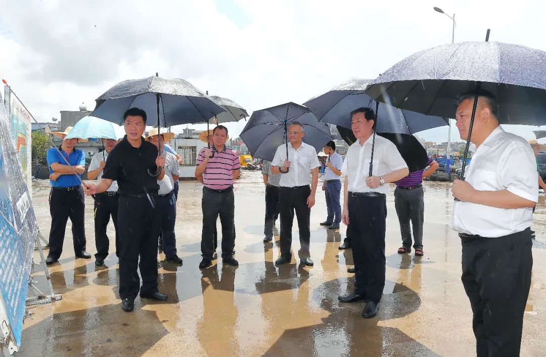 刘星泰在临高县新盈中心渔港实地查看港区交通运输和渔业船舶的停泊
