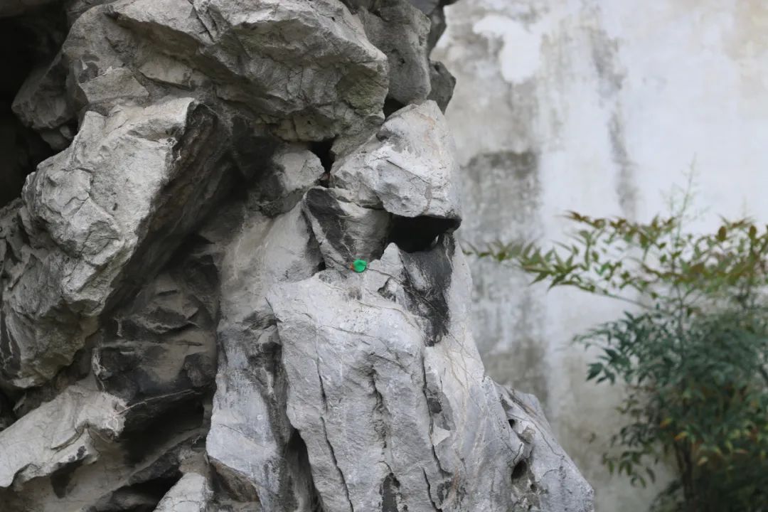 夜读 | 北海艮岳石,能触摸到的800年沧桑史