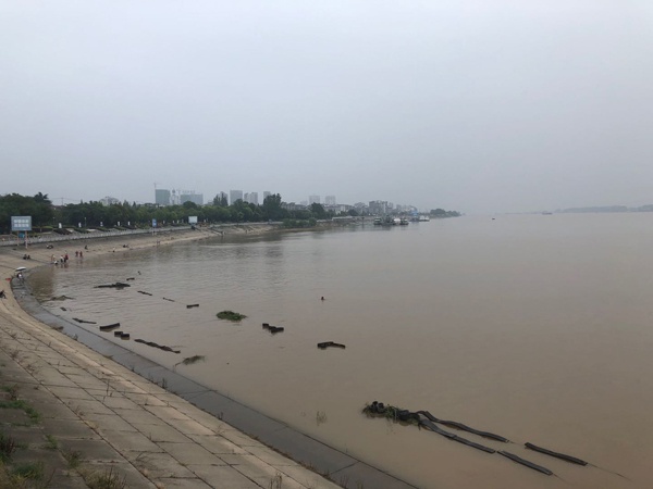 最近三天，荆州市区没有下雨，长江水位也有所回落。  本文图片均为澎湃新闻记者 陈绪厚 图