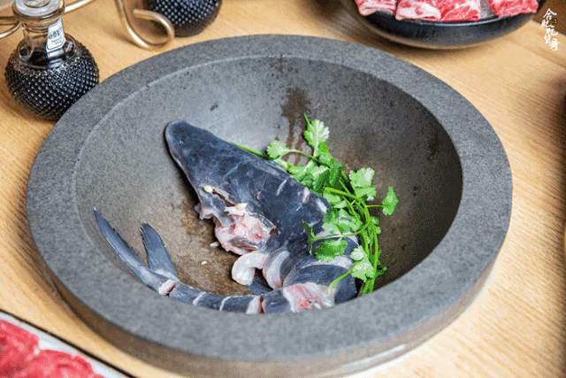 合肥嘟噜草帽鱼:火锅不开火 草帽当锅盖|草帽|锅盖|原味锅_新浪新闻