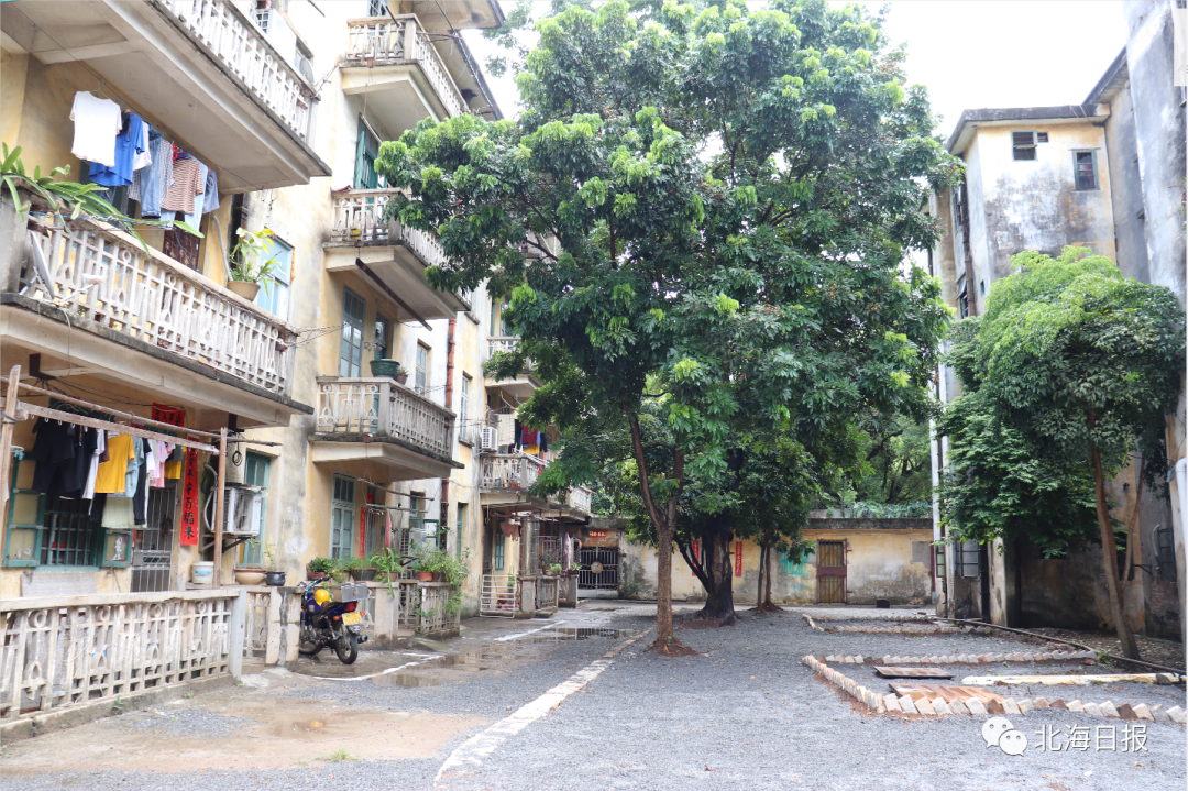 北海创城排名2020_共青团北海市委员会成功承办2020年北海市创城大舞台(2)