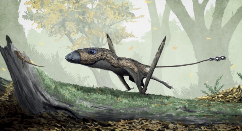 《恐龙再现ii》推荐:快上车,下一站是史前世界!