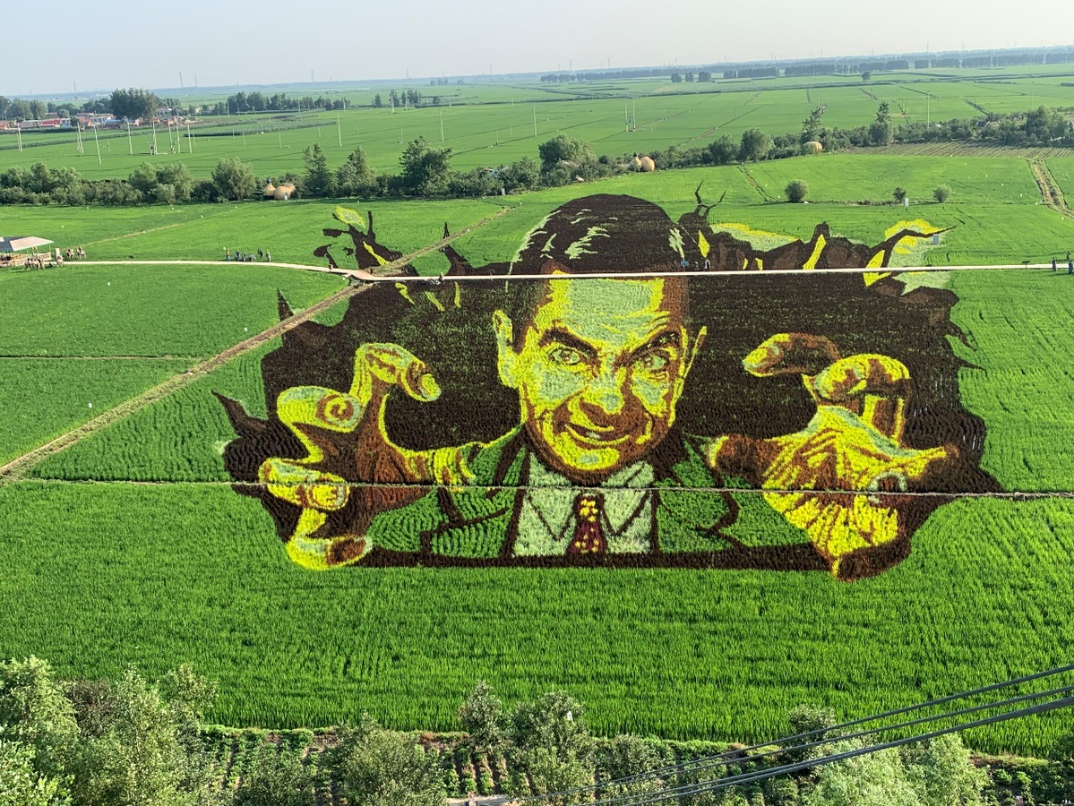 哪吒,至尊宝,梦露……栩栩如生的巨型稻田画亮相"稻梦空间"