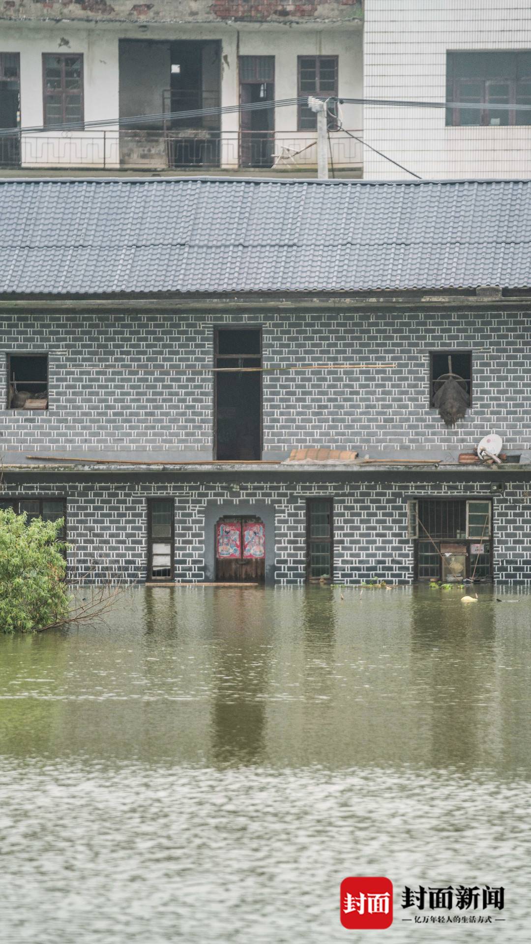 图集｜现场直击：江西湖口农房被淹 村民围堵鱼塘减少损失