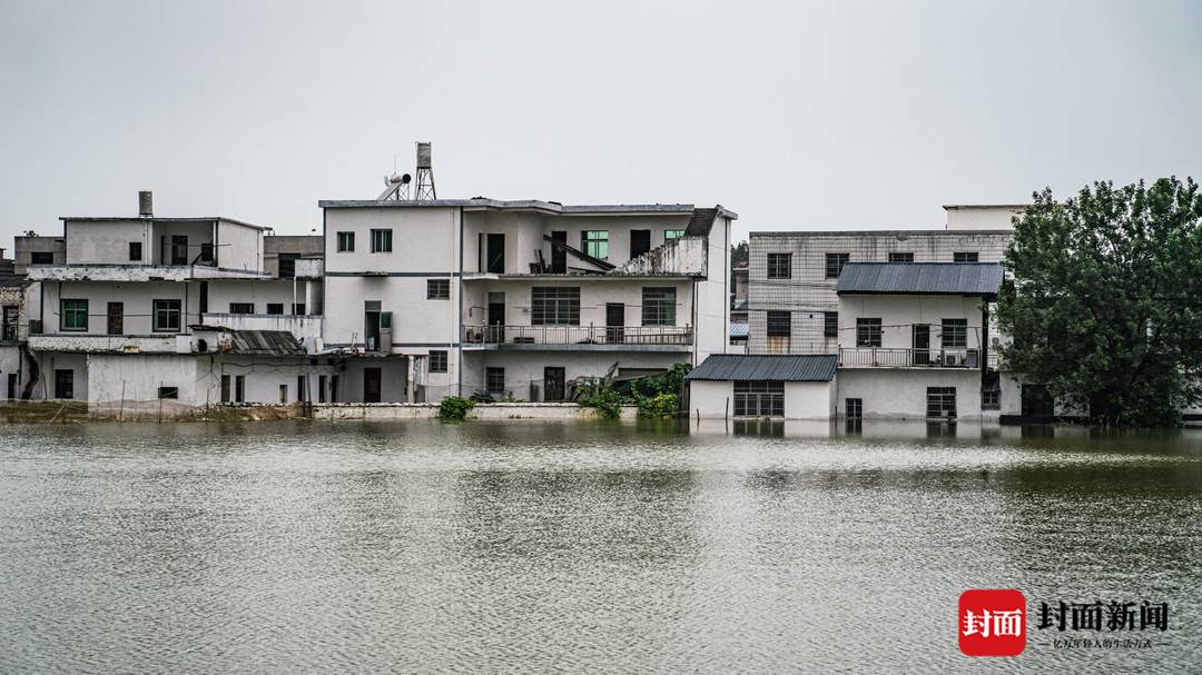 图集｜现场直击：江西湖口农房被淹 村民围堵鱼塘减少损失