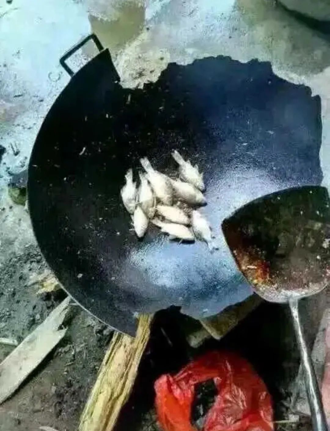 一张图证明自己有多穷你们赢了