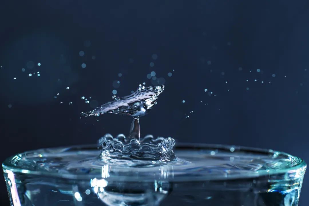 技术 给水滴拍 写真 水滴 拍摄 写真 新浪新闻 技术 给水滴拍 写真 水滴 拍摄 写真 新浪新闻