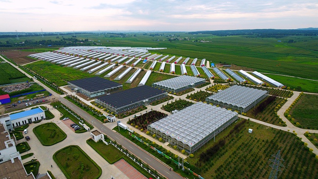 国信现代农业生产基地