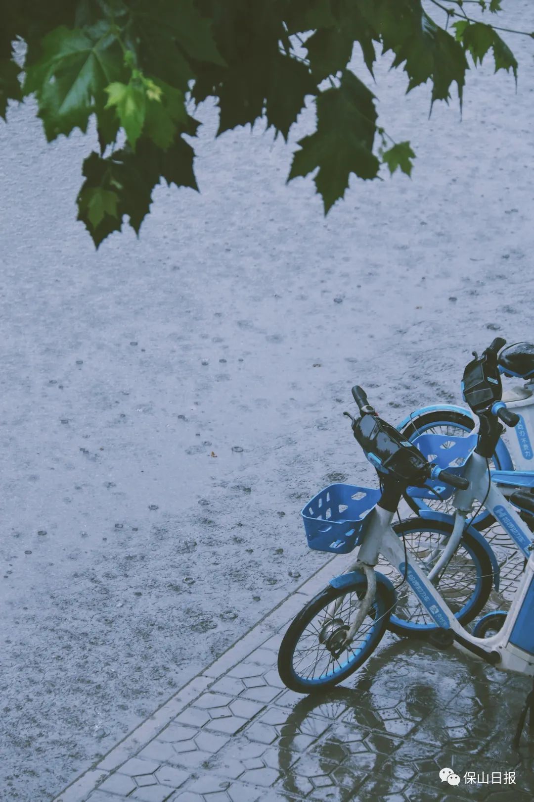 【诗情画意】在夏天的窗前