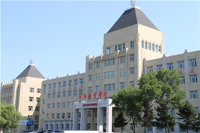 大庆职业学院位置图片