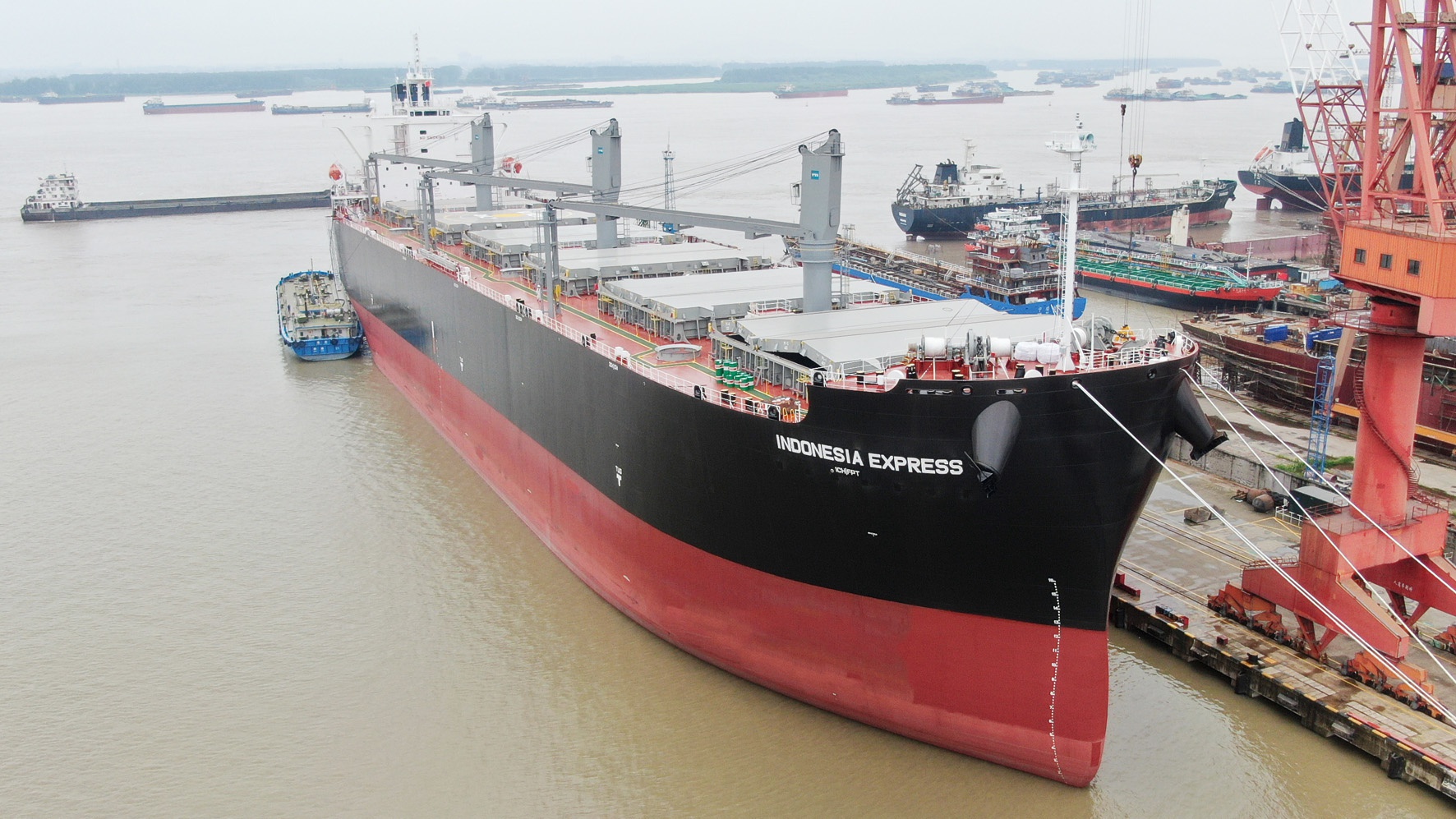 全球最大木屑船在扬交付