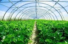 上半年公路货运数据:基建先发力!山东基建农资蔬菜三项全国第一