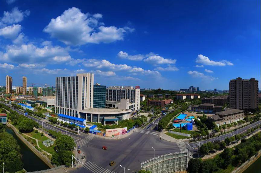 优化提升营商环境助力新区领跑提速