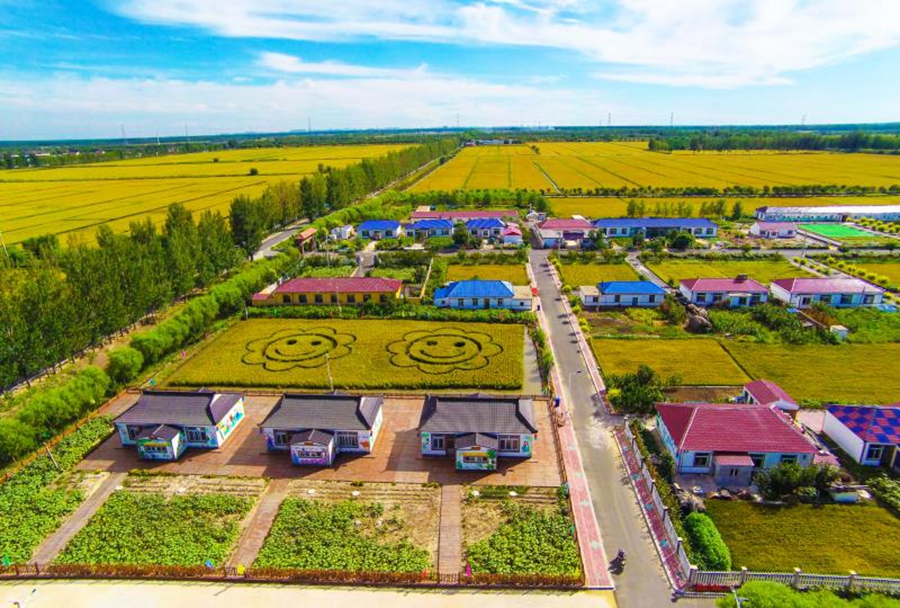 走向我们的小康生活得胜村的致富小康路越走越踏实越走越宽阔