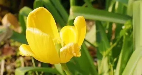 一种新型不孝，正在毁掉大量老人的养老生活