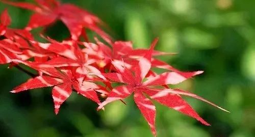 一种新型不孝，正在毁掉大量老人的养老生活