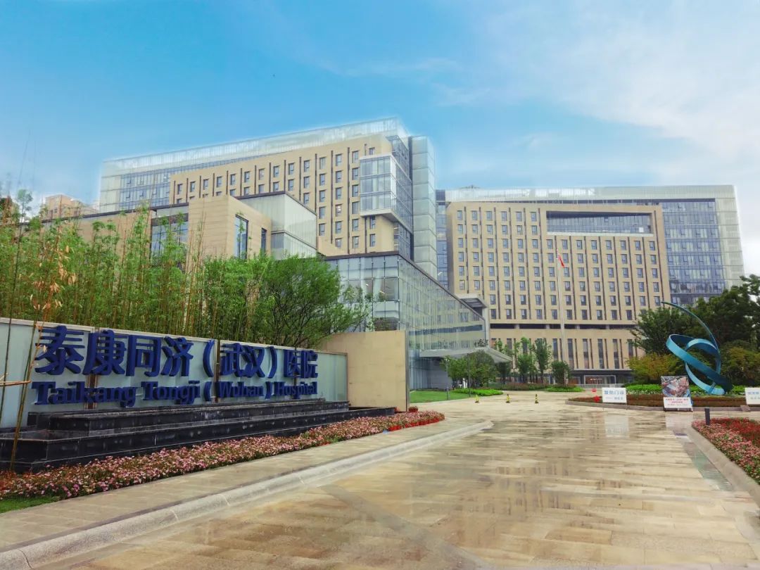 抗疫壁画亮相泰康同济(武汉)医院,近2000千名医护参与创作