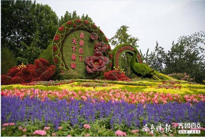 75万盆夏季时令花卉亮相济南历下区,21条主次干道分区域布置