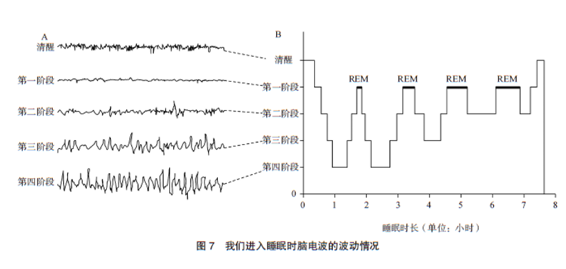 幸福的科学像对待工作一样严肃对待睡眠