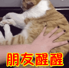 醒醒别睡!