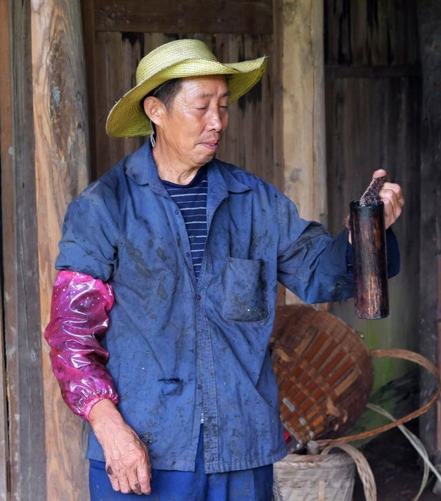 实拍|即将消失的"割漆匠"