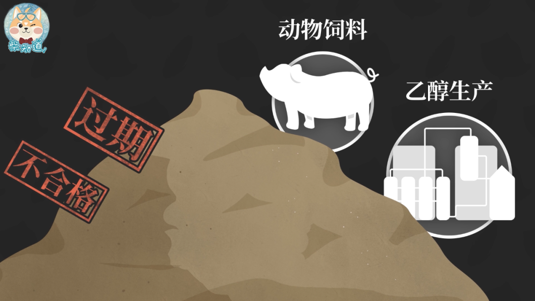 如何为14亿人储备粮食?中国的储备粮够吃多久? | 图文