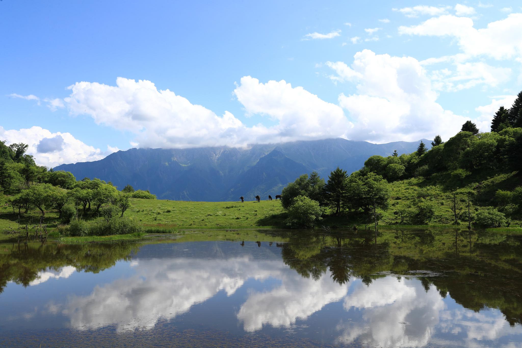 盛夏时节,位于甘肃省甘南藏族自治州的舟曲县绿意盎然,风景宜人,蓝天