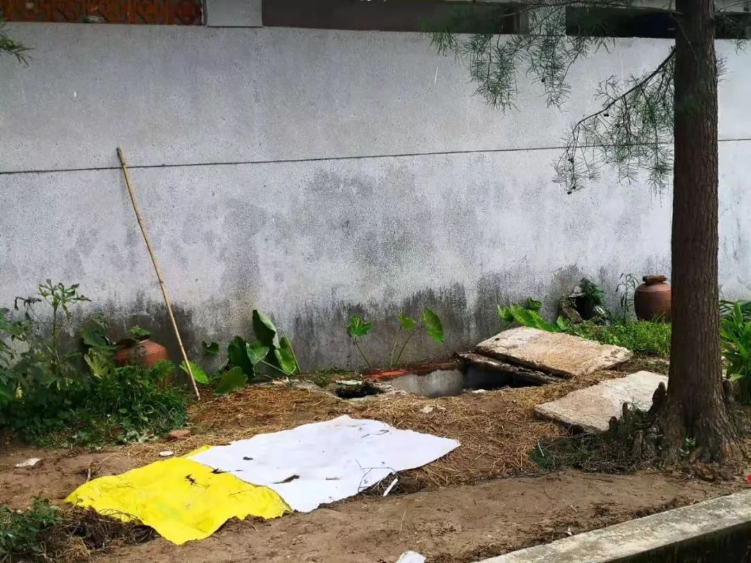 90后男子将7岁继子"打包"扔进化粪池杀害,法院判决