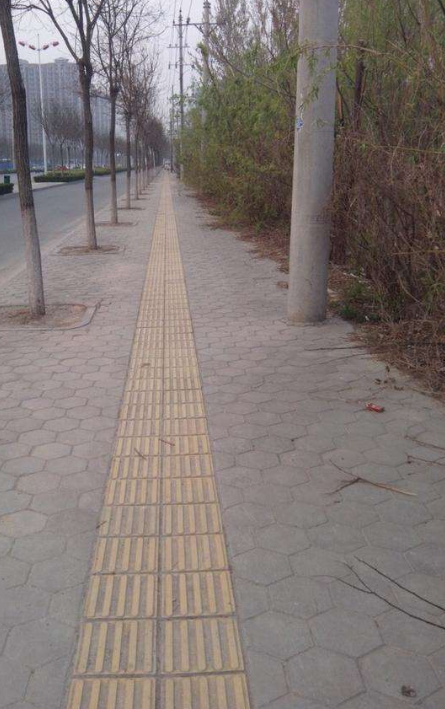 盲道上什么都有,除了盲人