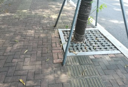 盲道上什么都有,除了盲人