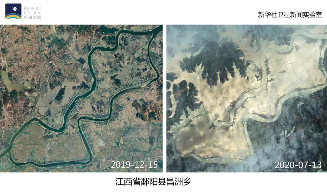 从鄱阳县昌洲乡的卫星影像,可以看到这个江中岛上大片规整的农田消失