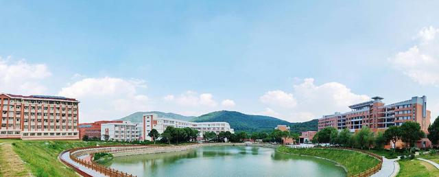 2020设计类专业大学_2020设计教育成果的总结——教育部职业院(2)