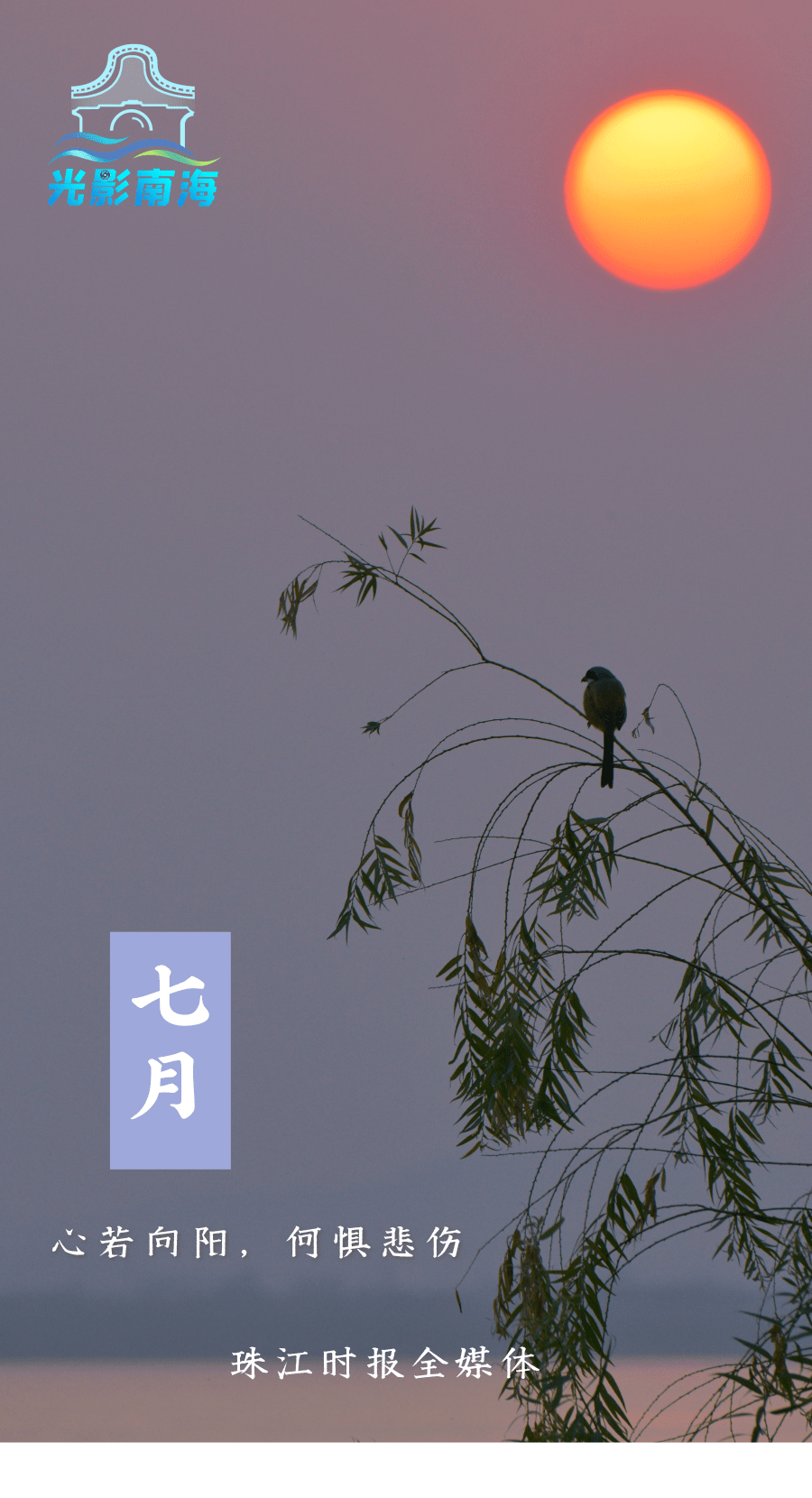 人皆苦炎热,我爱夏日长 | 七月,你好