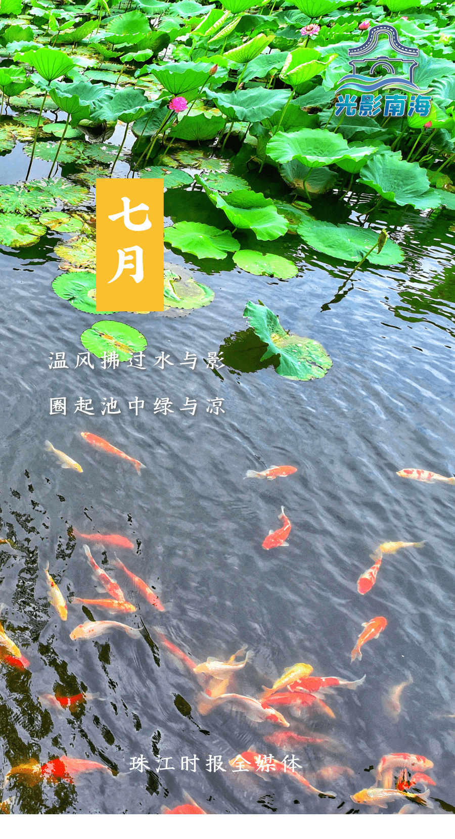 人皆苦炎热,我爱夏日长 | 七月,你好