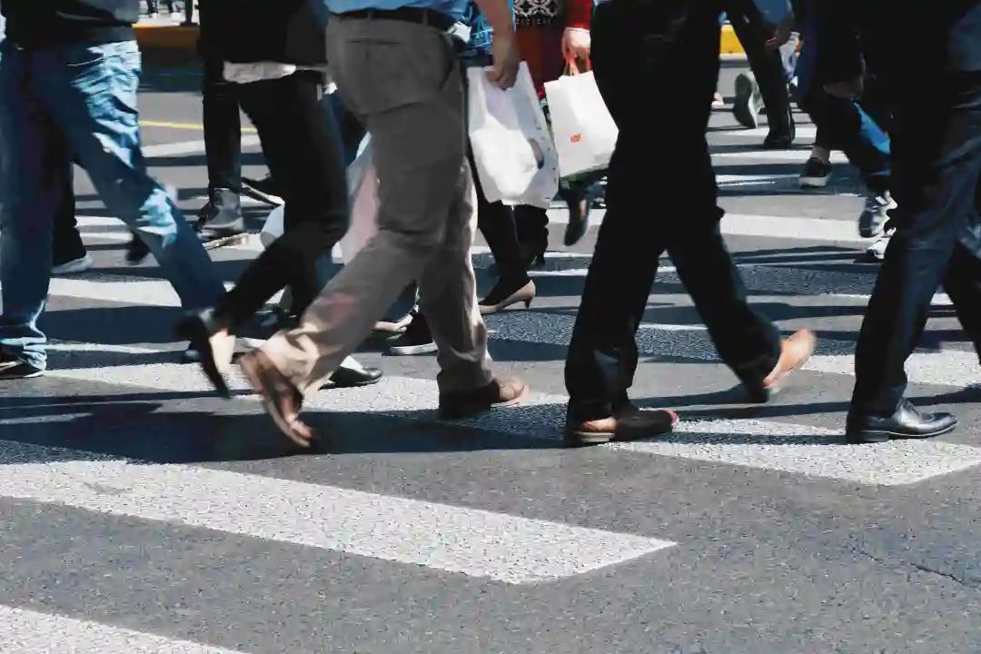 什么是人口密度_陆铭:城市人口密度降低20%会发生什么