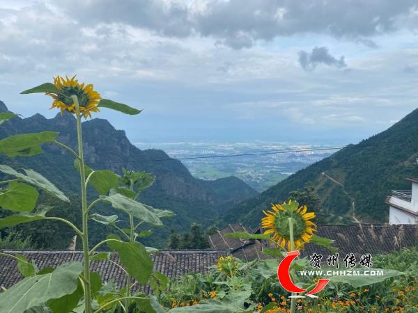 花式脱贫洋溪村蜕变记富川瑶族自治县富阳镇洋溪村脱贫攻坚见闻